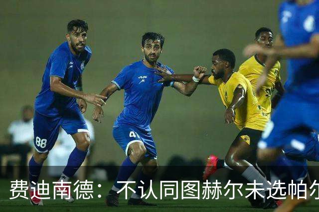 费迪南德：不认同图赫尔未选帕尔默的决定，后者在大赛证明过自己